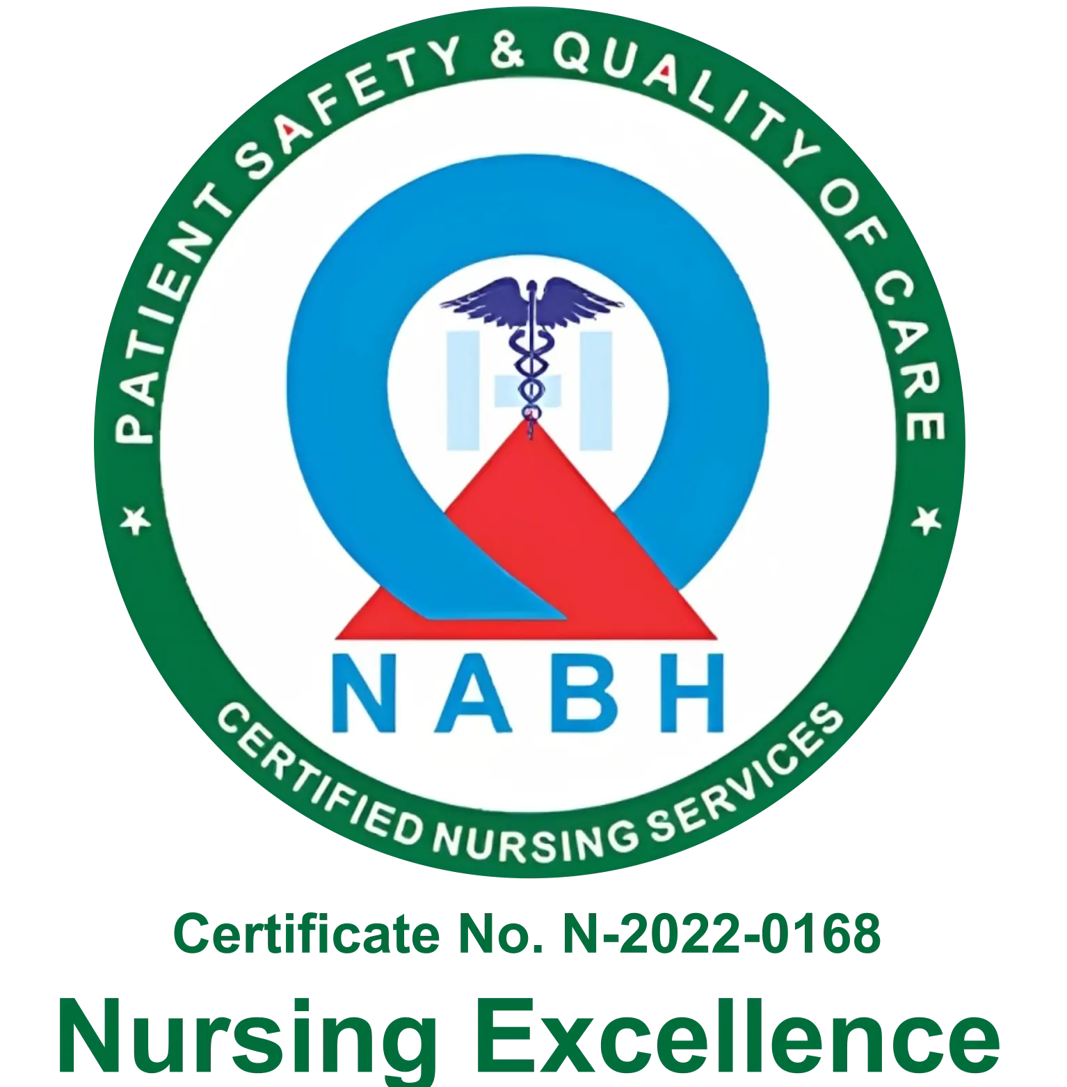 Nursing Excellence